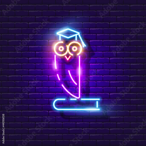 Owl sits on books neon sign. Scientist owl glowing icon. Vector illustration for design. School concept. photo