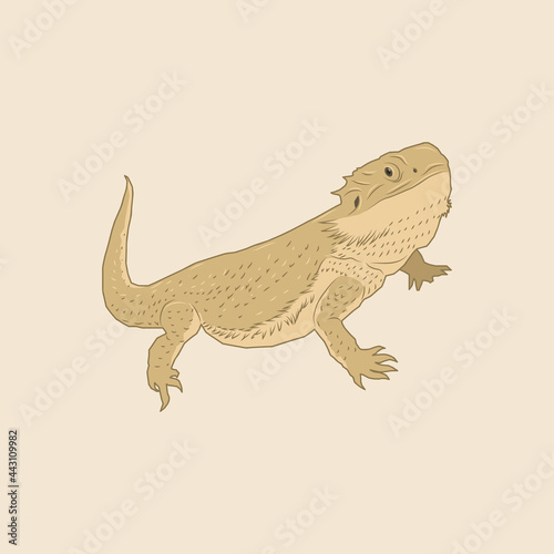 Fototapeta Naklejka Na Ścianę i Meble -  Illustration of a brown lizard with a long tail, World Lizard Day
