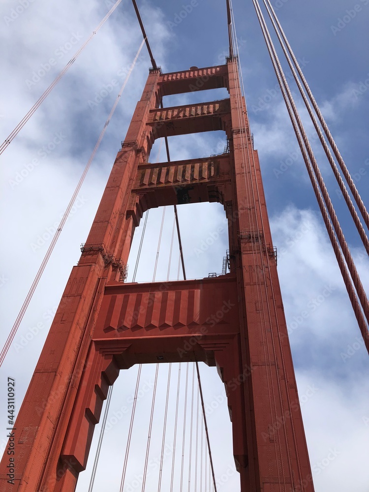 Fototapeta premium Bridge