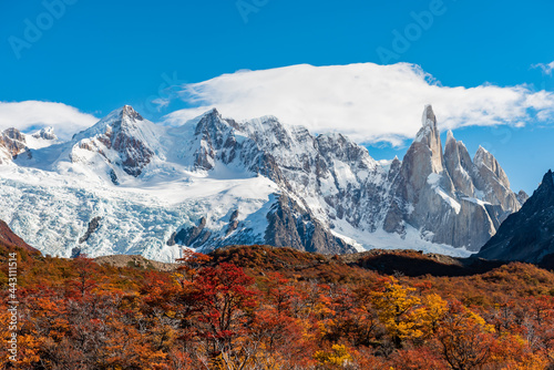 Beautiful landscape of autumn golden and red forest and snow mountains. Golden autumn in Patagonia. Torres del Paine National Park