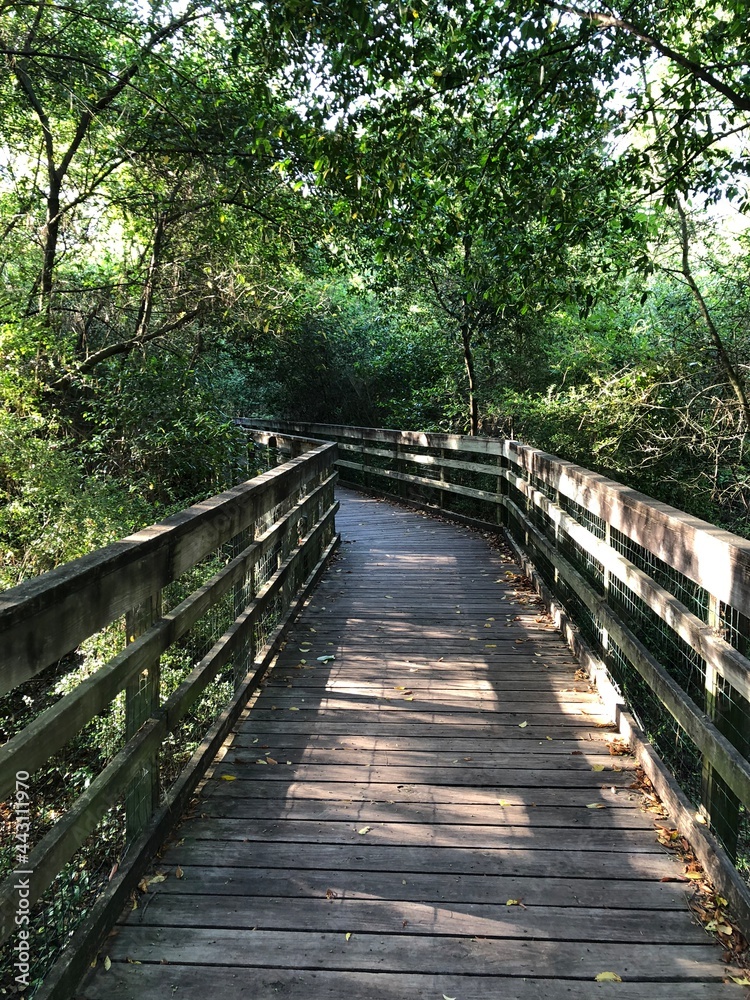 Nature Nature