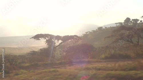POV, LENS FLARE: Driving past a lush savannah full of acacia trees on a sunny morning. Lush green Ngorongoro crater is illuminated by the rising summer sun. Picturesque Tanzania at golden sunrise. photo