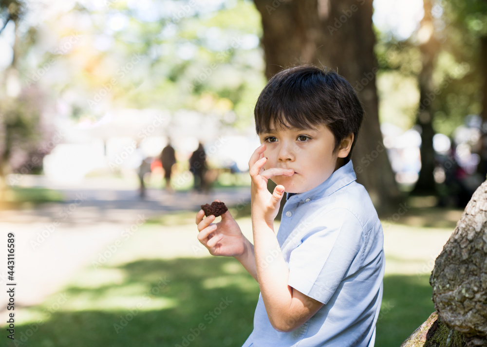 High key protrait Happy boy eatting chocolate cake siting in the park, Kid looking out deep in thought while eating walnut brownie, Healhty Child sitting under big tree enjoy picnic dessert High key protrait Happy boy eatting chocolate cake siting in the park, Kid looking out deep in thought while eating walnut brownie, Healhty Child sitting under big tree enjoy picnic dessert