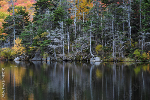 An autumn colored forest reflected in a dark lake in New England.