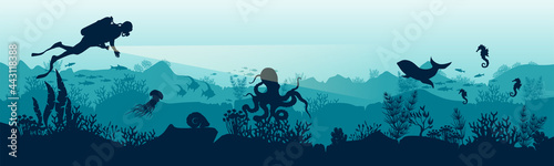 Silhouette of a scuba diver in the underwater world. The diver is watching the fish. Stock vector illustration. EPS 10. Panoramic view of the underwater world. Illustration for underwater tourism.