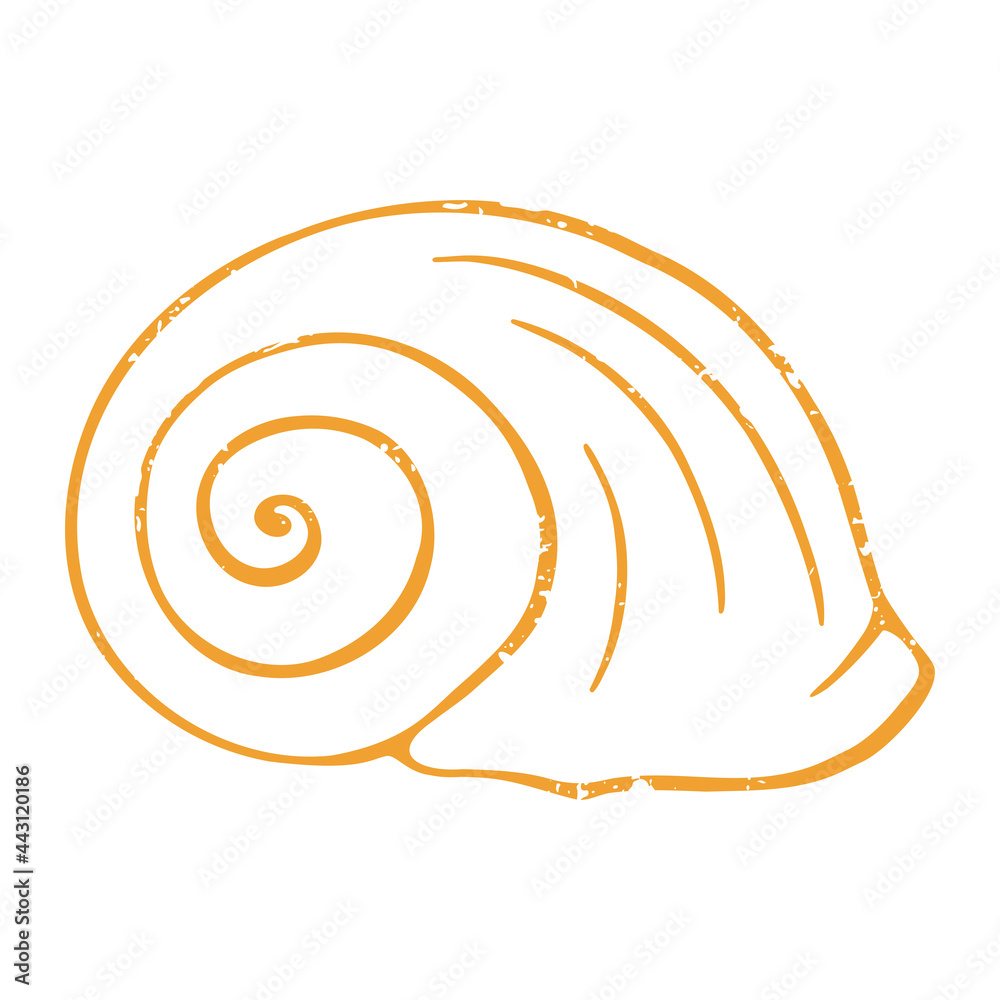 Textured yellow spiral shape shell isolated on a white background. Vector line shabby hand drawn illustration Textured yellow spiral shape shell isolated on a white background. Vector line shabby hand drawn illustration