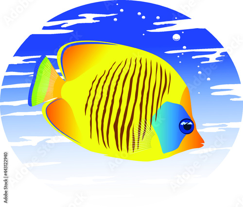 The image of a tropical fish in color vector illustration