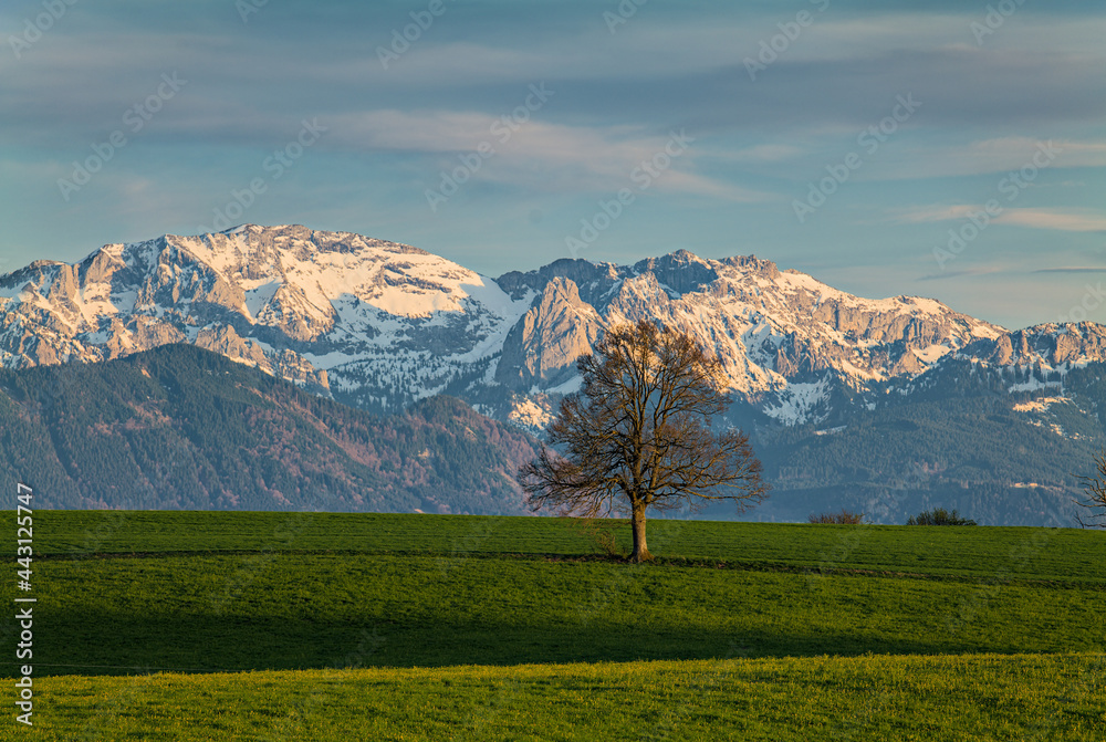 Abendlicher Blick in die Ammergauer Alpen