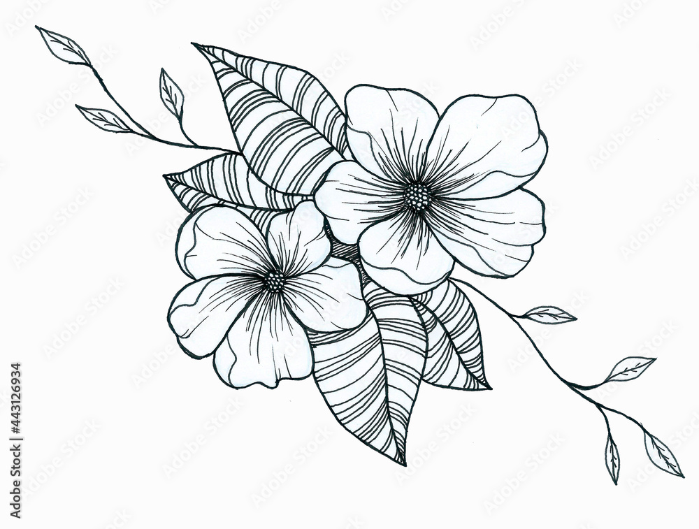 Black and white pen flower sketch