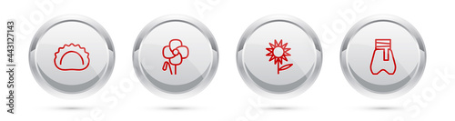 Set line Dumplings, Poppy flower, Sunflower and Cossack pants. Silver circle button. Vector