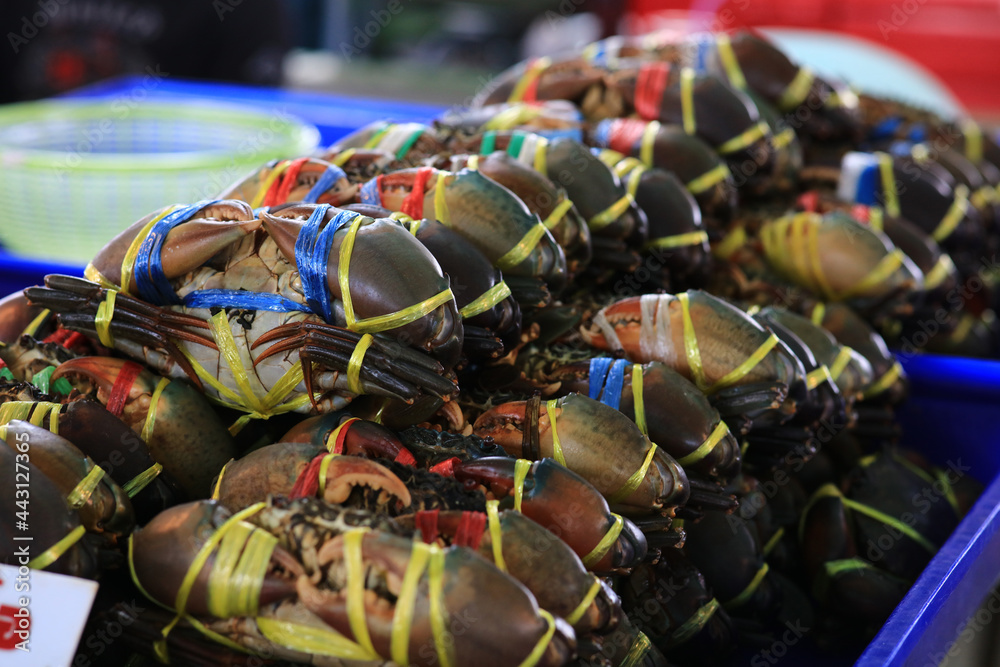 Fresh Serrated mud crab,Mangrove crab,Black crab selling at seafood market