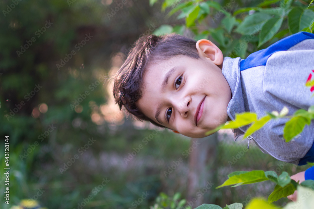 cheerful brown-eyed boy looks out from behind the bushes. games on the street. cheerful brown-eyed boy looks out from behind the bushes. games on the street.