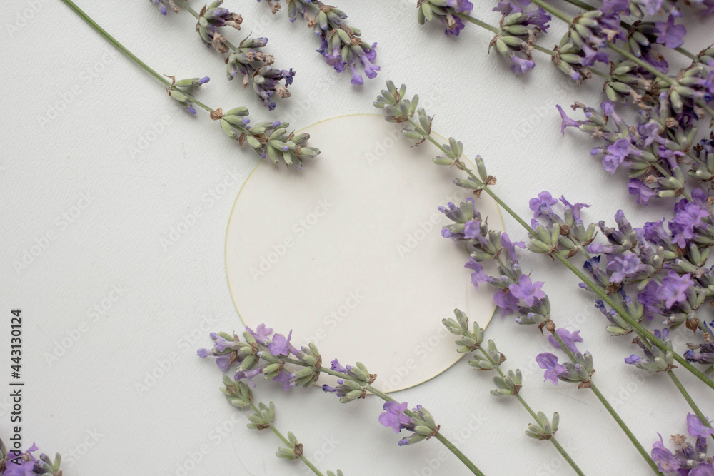 card mockup with lavender and envelope. invitation in minimalist style with flowers card mockup with lavender and envelope. invitation in minimalist style with flowers