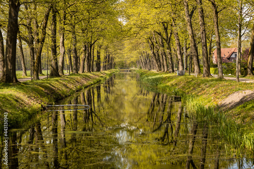 Canal with water surrounded by greenery and nature on a calm picturesque dutch rural countryside in Grientsveen, The Netherlands on a sunny day during spring