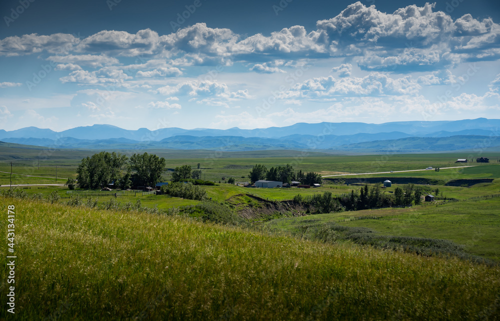 A ranching farm along the Eastern slopes of the Canadian Rocky Mountains and future coal mining development.