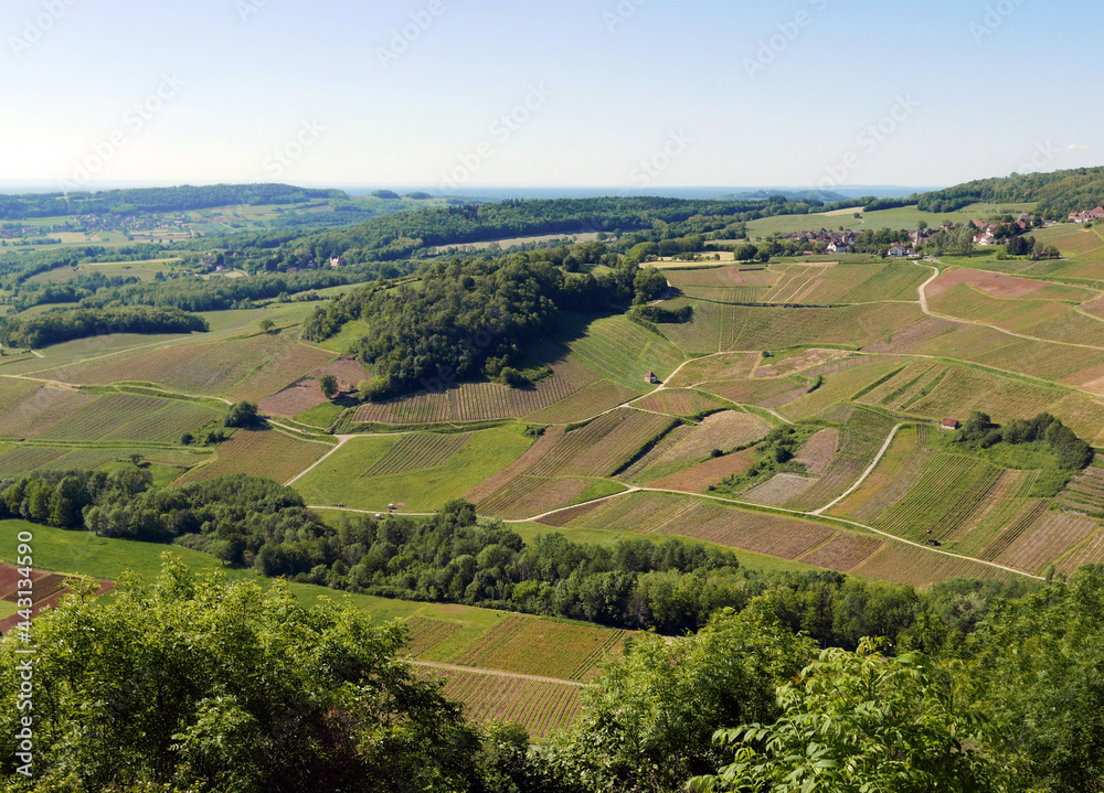 scenico panorama dei campi coltivati nella verde regione francese del Jura