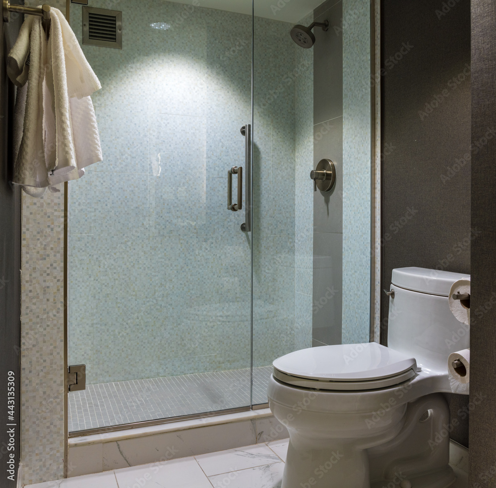 Interior of modern bathroom with glass door tiled shower and toilet ...