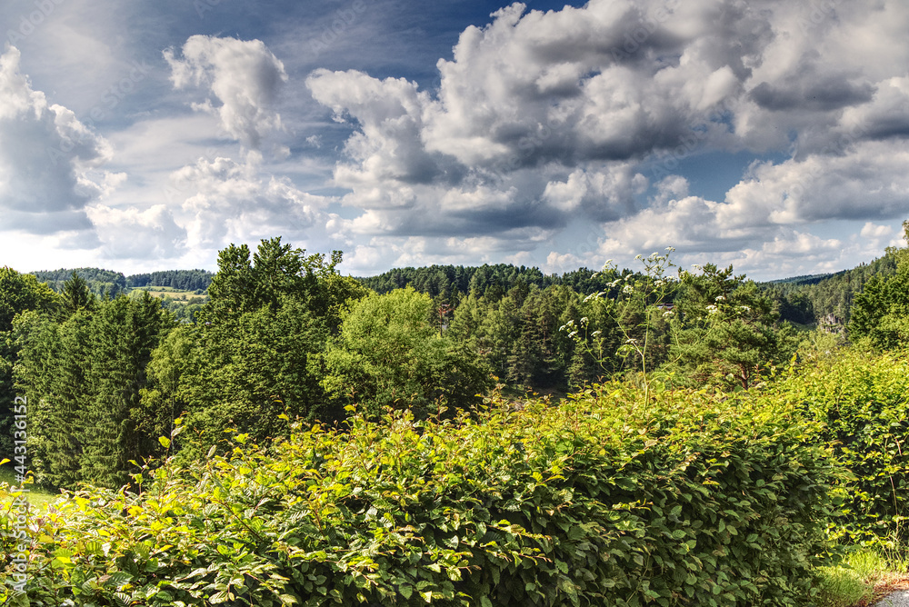 woodlands in the maountains against cloudy sky