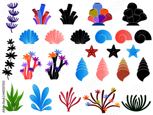 Isolated water corals, seashells, seaweeds and organisms 