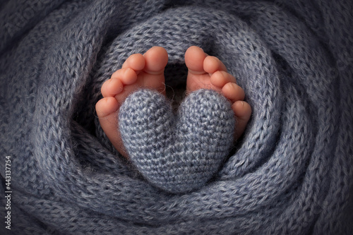 Feet of a newborn close-up in a woolen blanket. Pregnancy  motherhood  preparation and expectation of motherhood  the concept of the birth of a child. 