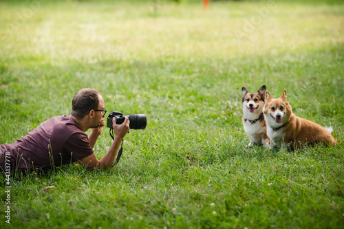 Photography Young man making a photo of welsh corgi pembroke dogs with a professional dslr c