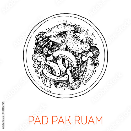 Pad Pak Ruam, thai food. Hand drawn vector illustration. Sketch style. Top view. Vintage vector illustration.