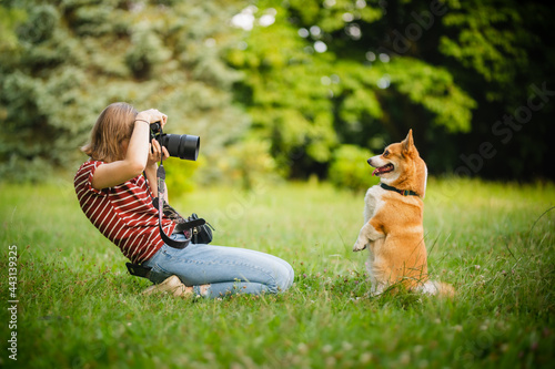 Photography Young woman making a photo of welsh corgi pembroke dogs with a professional dslr