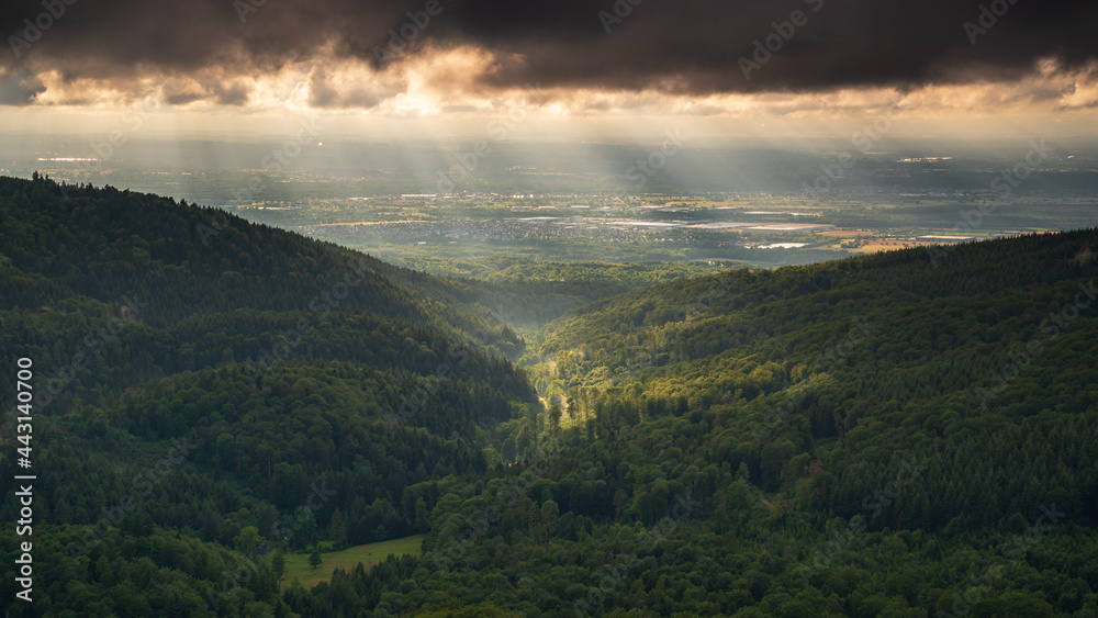 The sun shines on the Waldprecht Valley in the Black Forest. In the background, the Rhine plain and Alsace.