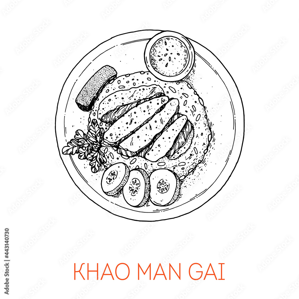 Khao Man Gai, thai food. Hand drawn vector illustration. Sketch style. Top view. Vintage vector illustration.