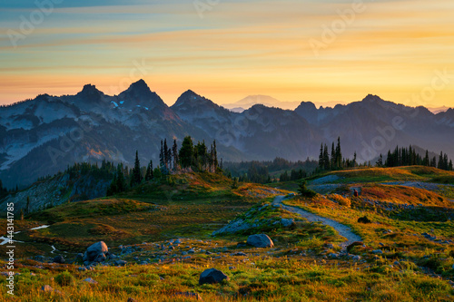 Paradise Glacier Trail At Mount Rainier