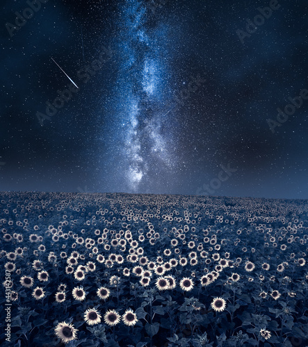 Agriculture by night, Polan...
