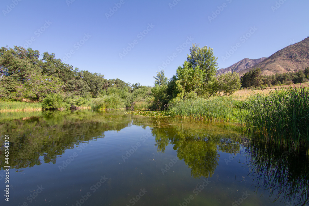 Trees and mountains reflected in a pond in Oak Glen Preserve