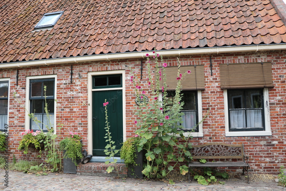 Alcea rosea in front of a house Alcea rosea in front of a house