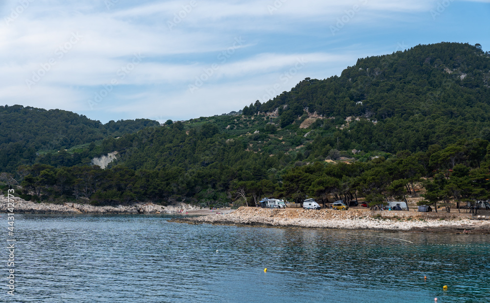 A view of the seaside campsite for motorhomes hidden in a dense forest