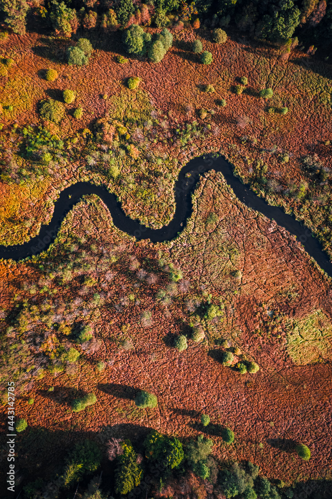 Brown swamps and river in autumn. Aerial view wildlife, Poland.