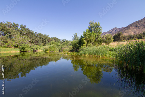 Trees and mountains reflected in a pond in Oak Glen Preserve
