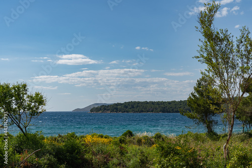 View of the Adriatic Sea through colorful trees and bushes