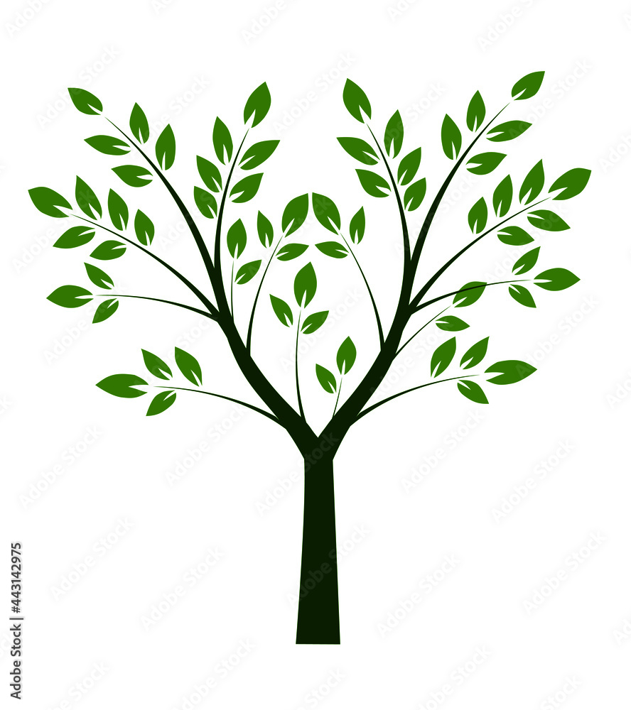 Green tree and vector illustration. Green tree and vector illustration.