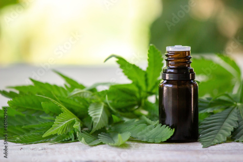 Fototapeta Naklejka Na Ścianę i Meble -  Cannabis herb and leaves for treatment broth, tincture, extract, oil