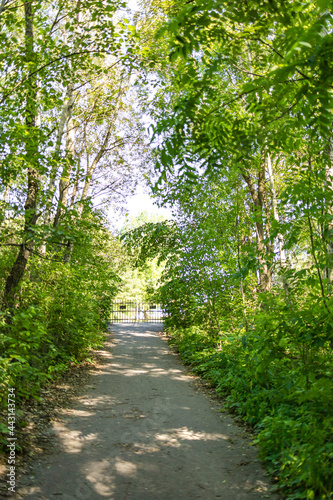 Private park trail with branches green trees covering pathway, gate closed at the end of beautiful and peaceful perspective walkway. Outdoor greenery landscape, relaxation place in spring and summer