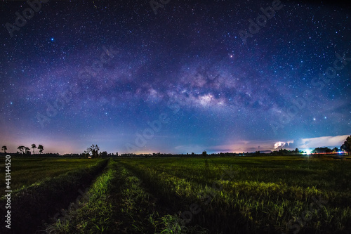 Bild auf Leinwand The Milky Way galaxy on rice paddy fields,Long exposure photograph, with grain