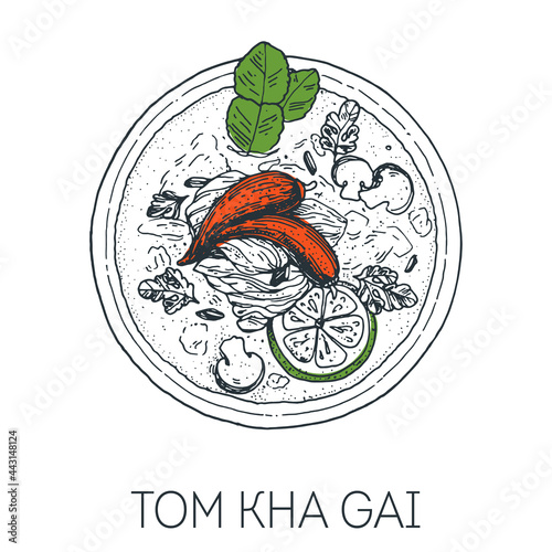 Tom Kha Gai, thai food. Chicken coconut soup. Hand drawn vector illustration. Sketch style. Top view. Vintage vector illustration.