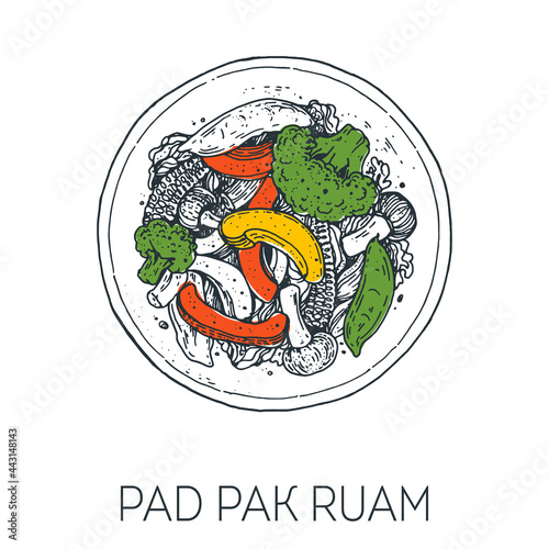 Pad Pak Ruam, thai food. Hand drawn vector illustration. Sketch style. Top view. Vintage vector illustration.