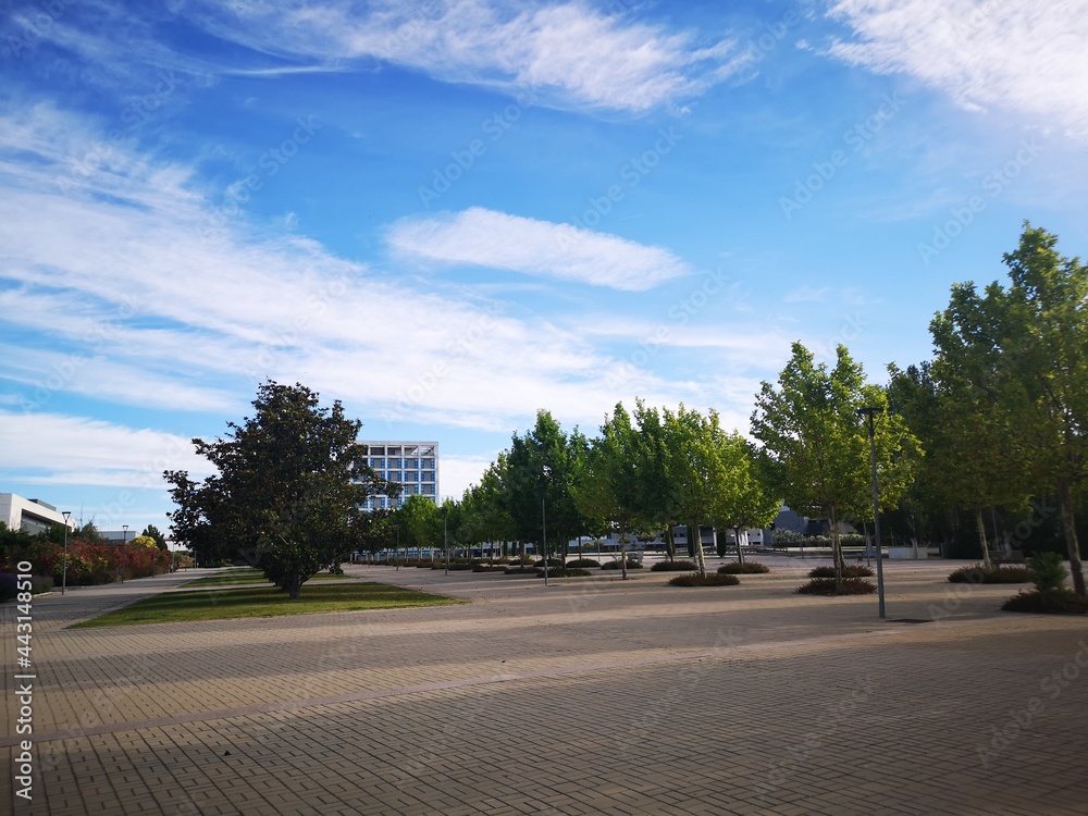Fototapeta premium Walking boulevard in Madrid sunny morning