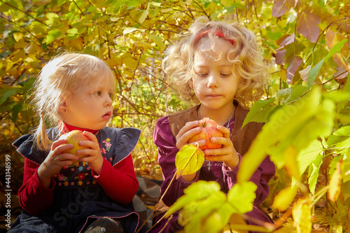 Two young little girl with blonde hair in an autumn park on a yellow and orange leaf background. Sisters walking in forest