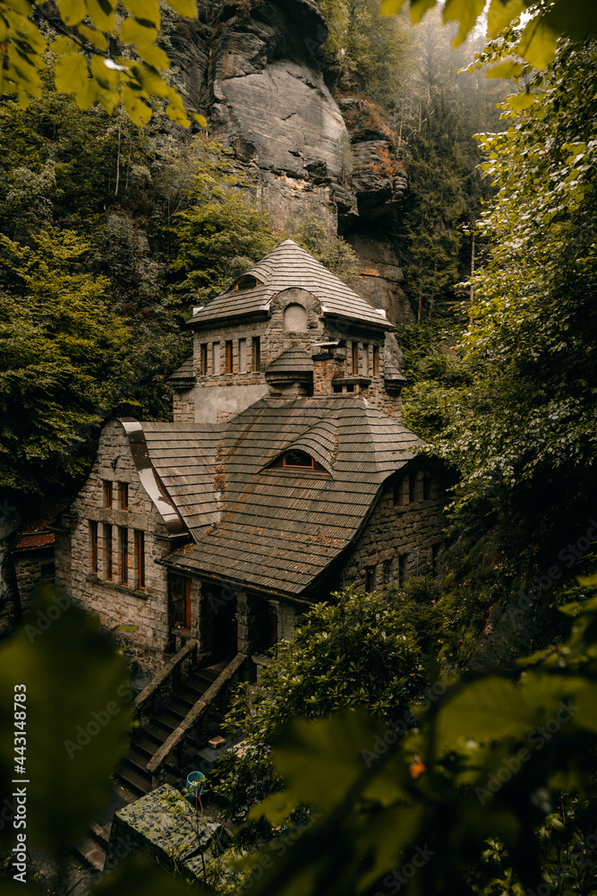 castle in the woods