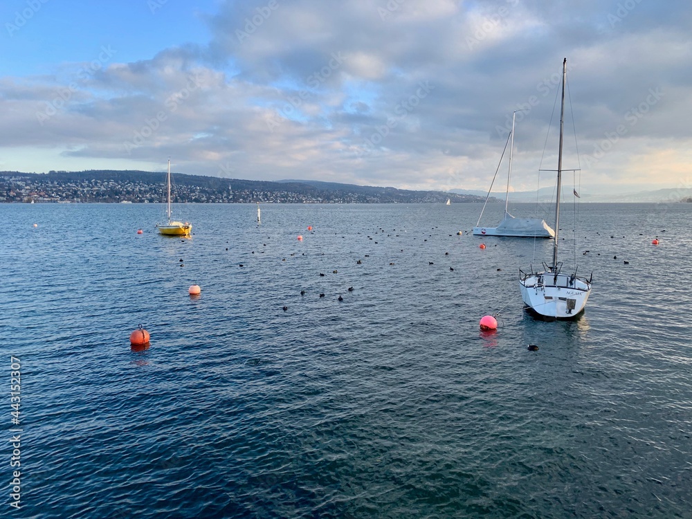 Segelboote - Segelschiffe auf dem Zürichsee. See in der Schweiz Stock ...