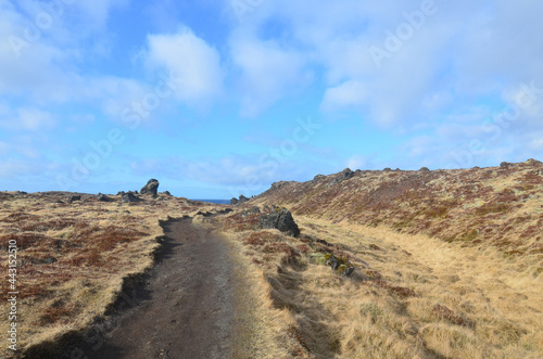 Hiking Trail Through Grasslands in Rural Iceland
