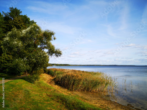 beautiful lake Naroch in Belarus