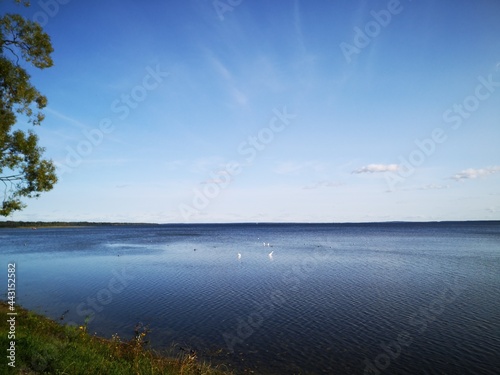 Fototapeta Naklejka Na Ścianę i Meble -  beautiful lake Naroch in Belarus